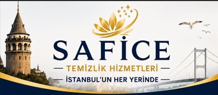 Profesyonel Ev Temizliği Hizmeti Nedir?